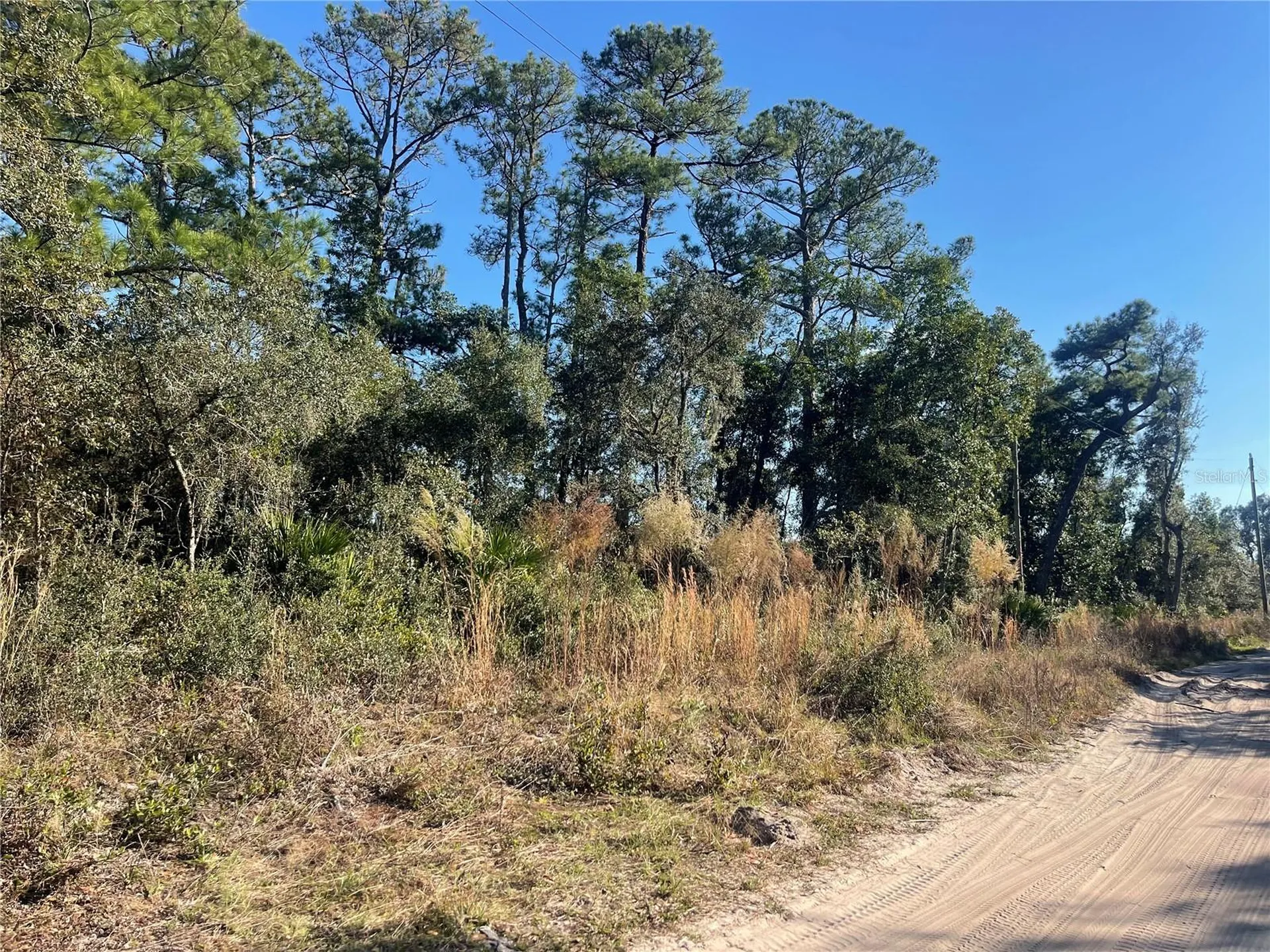 Rose Bud Drive Deland FL 32720