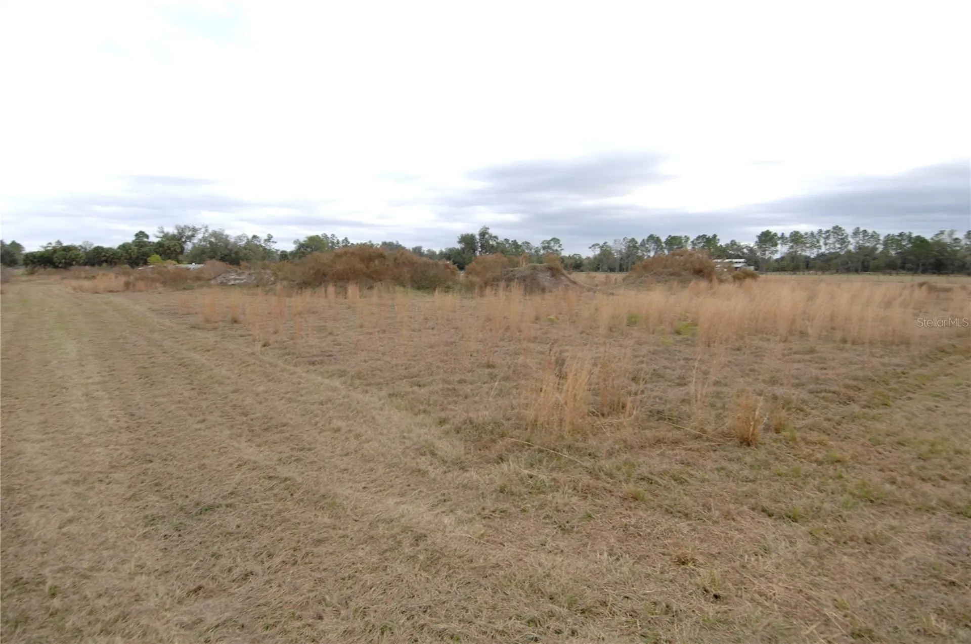 14780 Sugar Bowl Road Myakka City FL 34251