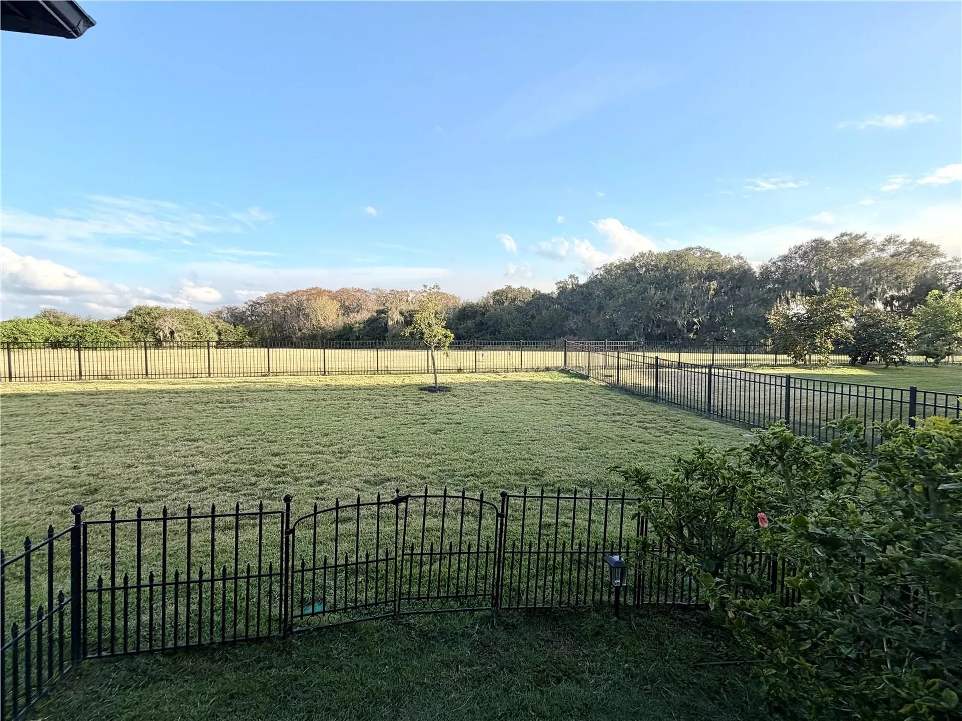 920 Windlass Court Kissimmee FL 34746