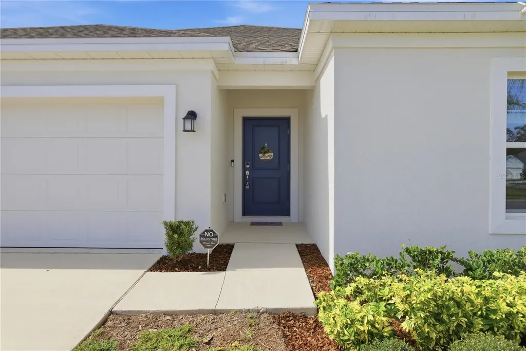 1539 Peach Creek Drive Osteen FL 32764