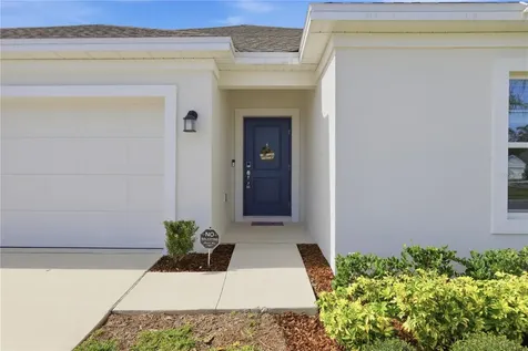 1539 Peach Creek Drive Osteen FL 32764