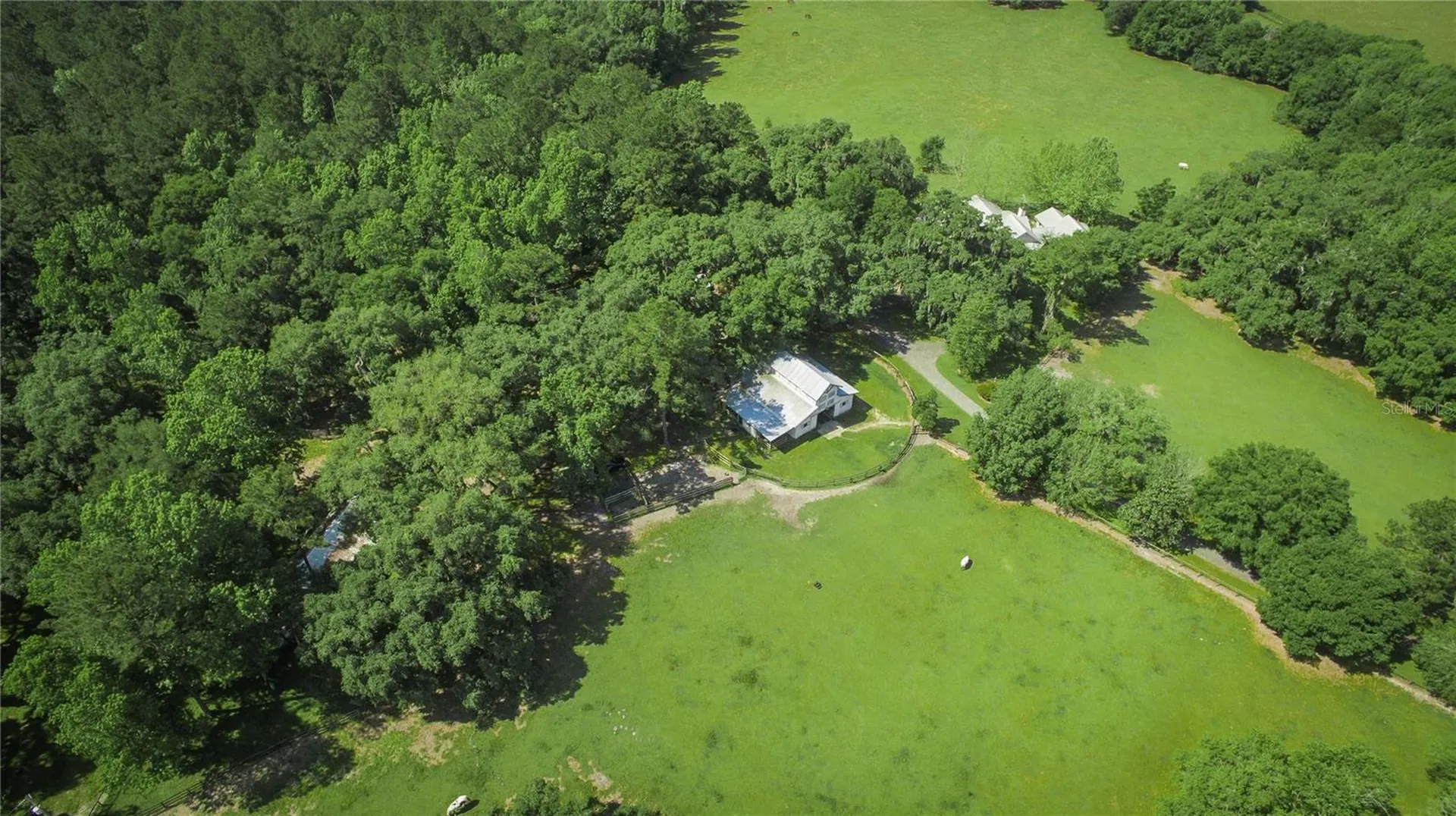 15000 W Highway 318 Williston FL 32696