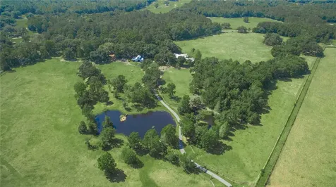 15000 W Highway 318 Williston FL 32696