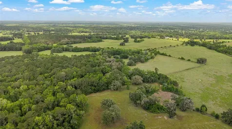 15000 W Highway 318 Williston FL 32696
