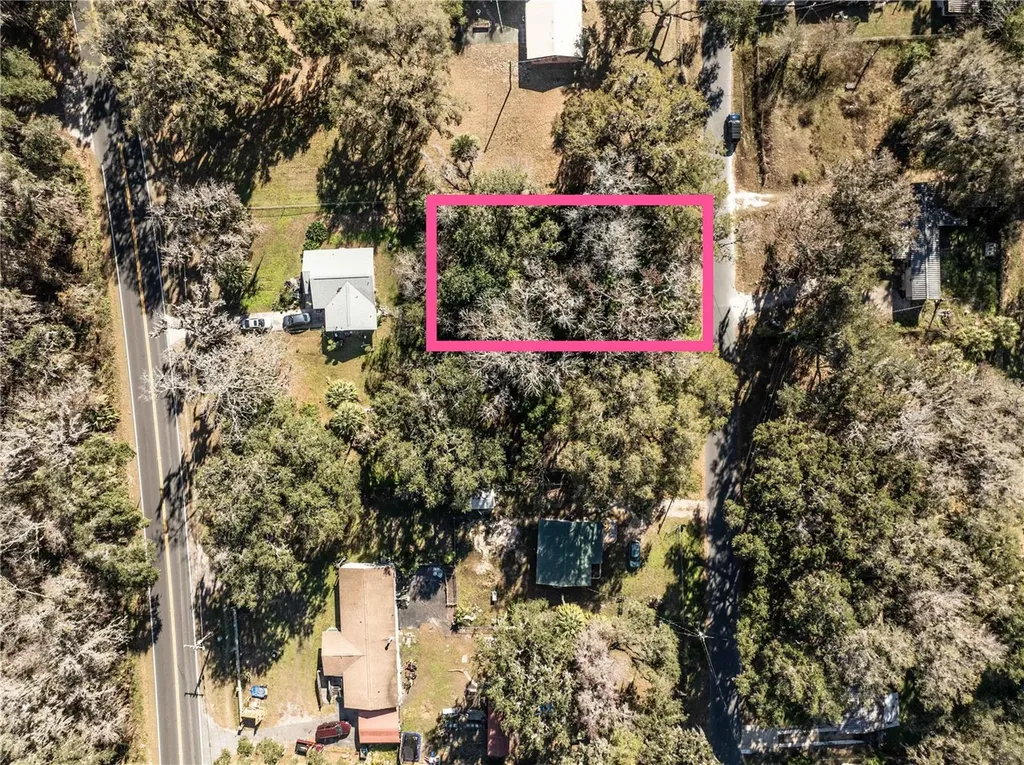 000 Cr 422 Lake Panasoffkee FL 33538