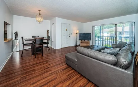 2522 Pine Ridge Way S Palm Harbor FL 34684