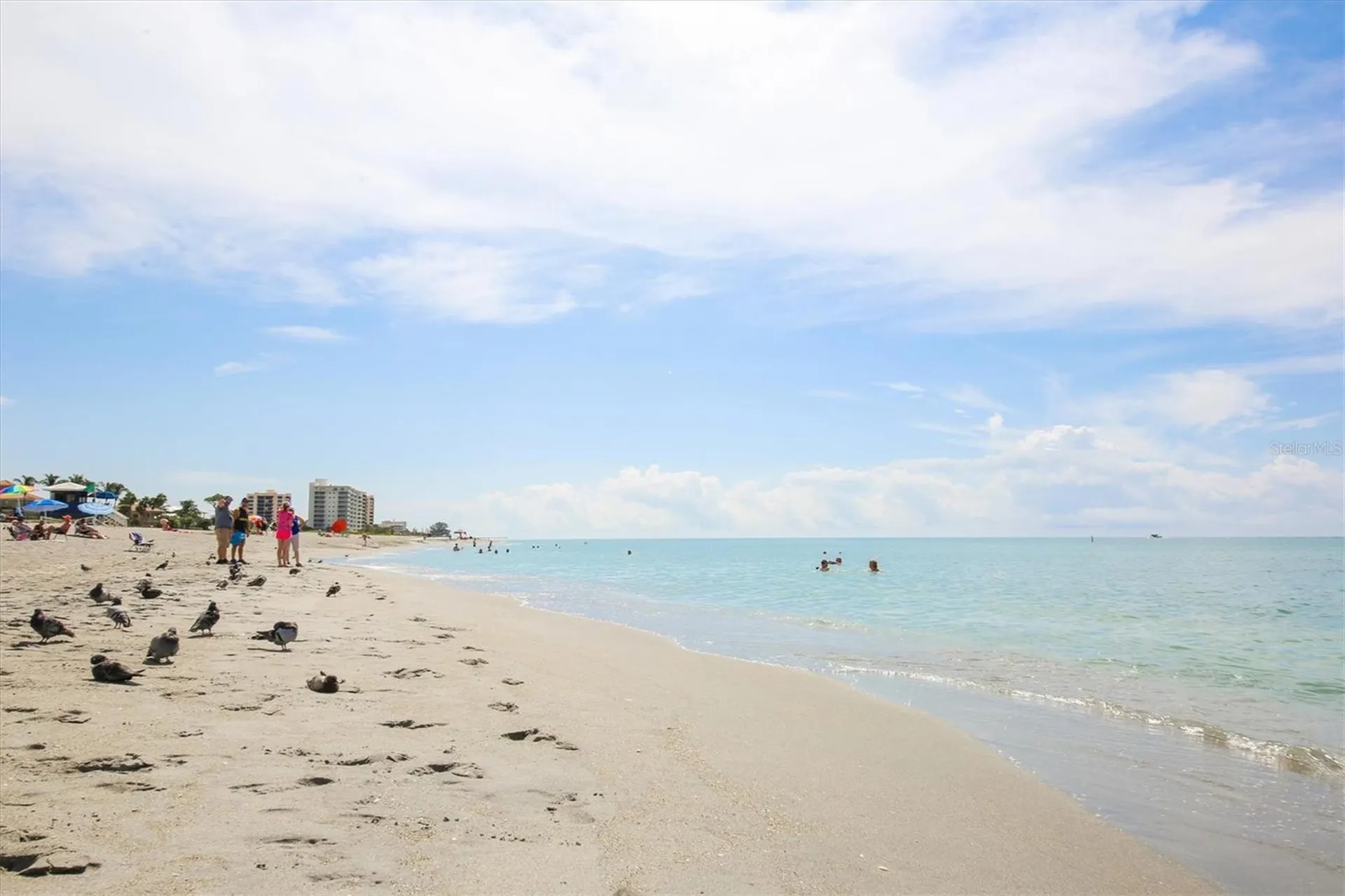13897 Umbria Street Venice FL 34293