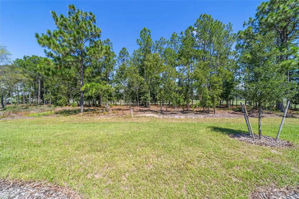 10537 SW 96th Lane Road Ocala FL 34481