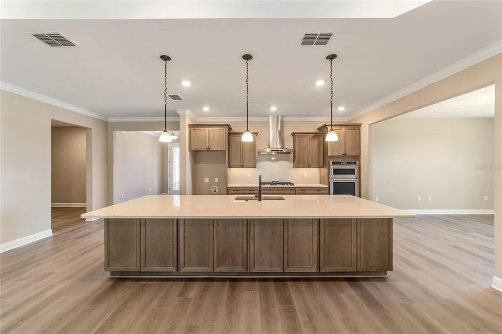 10537 SW 96th Lane Road Ocala FL 34481