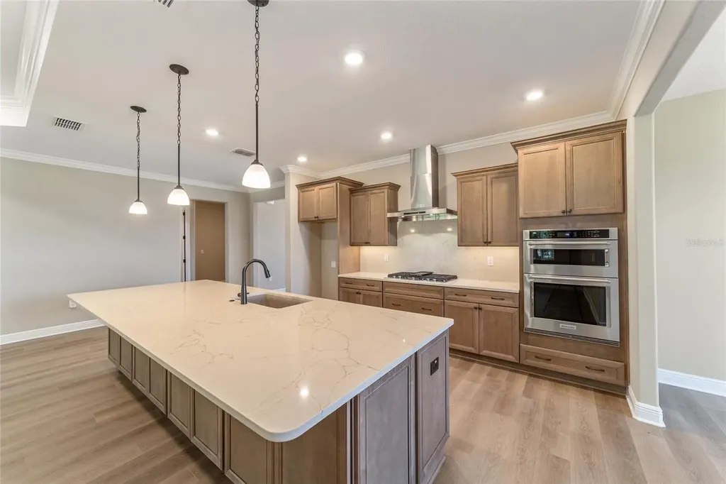 10537 SW 96th Lane Road Ocala FL 34481