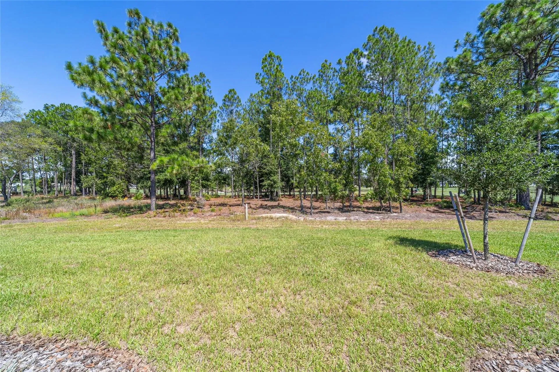 10537 SW 96th Lane Road Ocala FL 34481