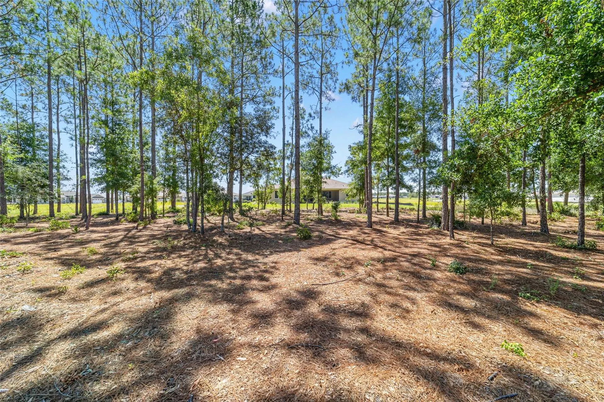 10537 SW 96th Lane Road Ocala FL 34481
