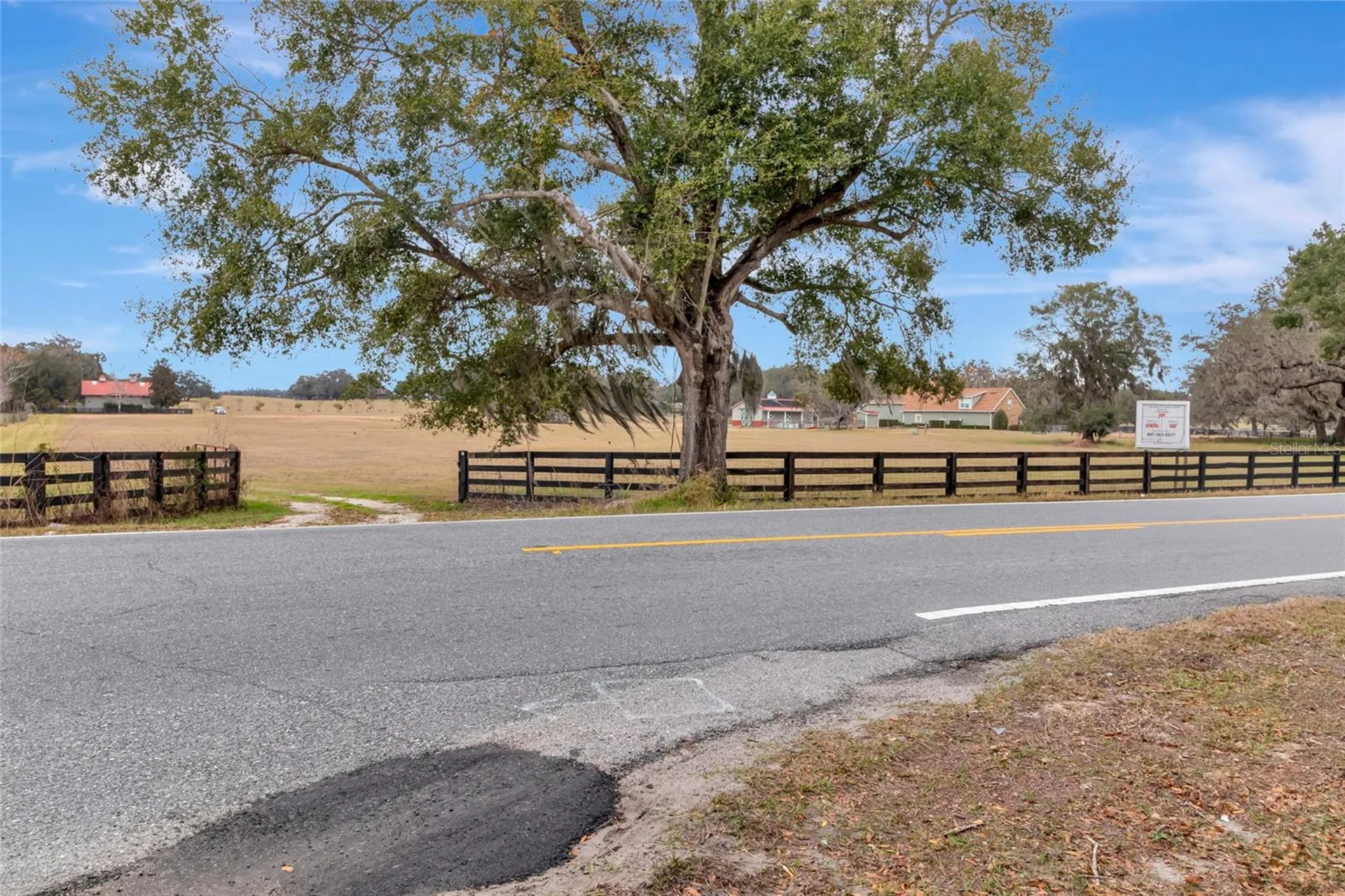 Wolf Branch Road Sorrento FL 32776
