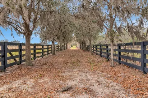 Wolf Branch Road Sorrento FL 32776