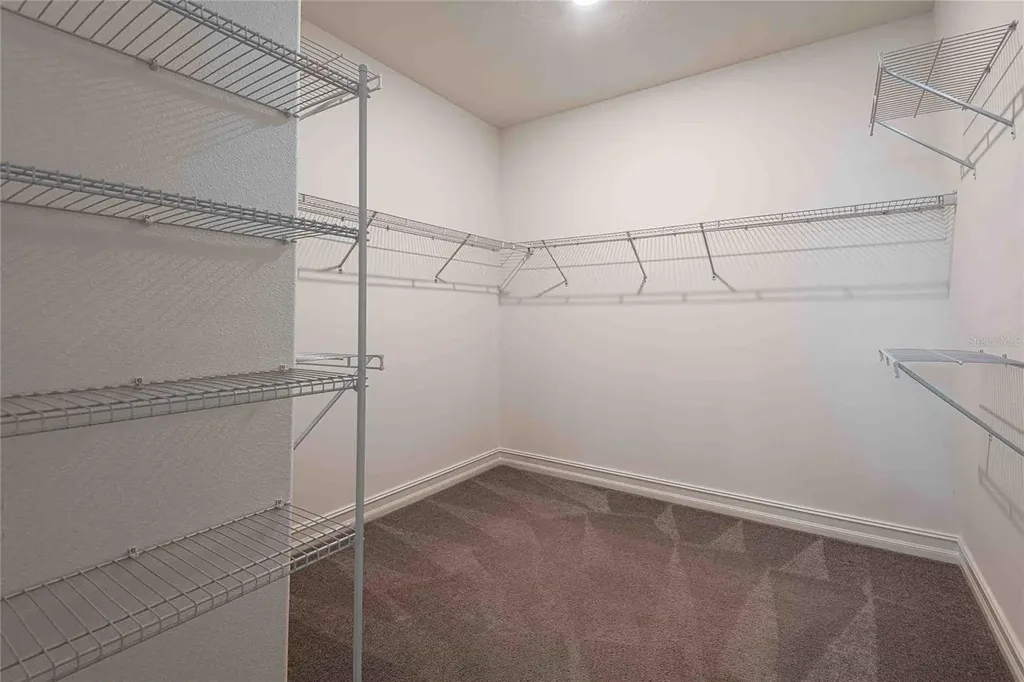 4655 Almada Lane Wesley Chapel FL 33543