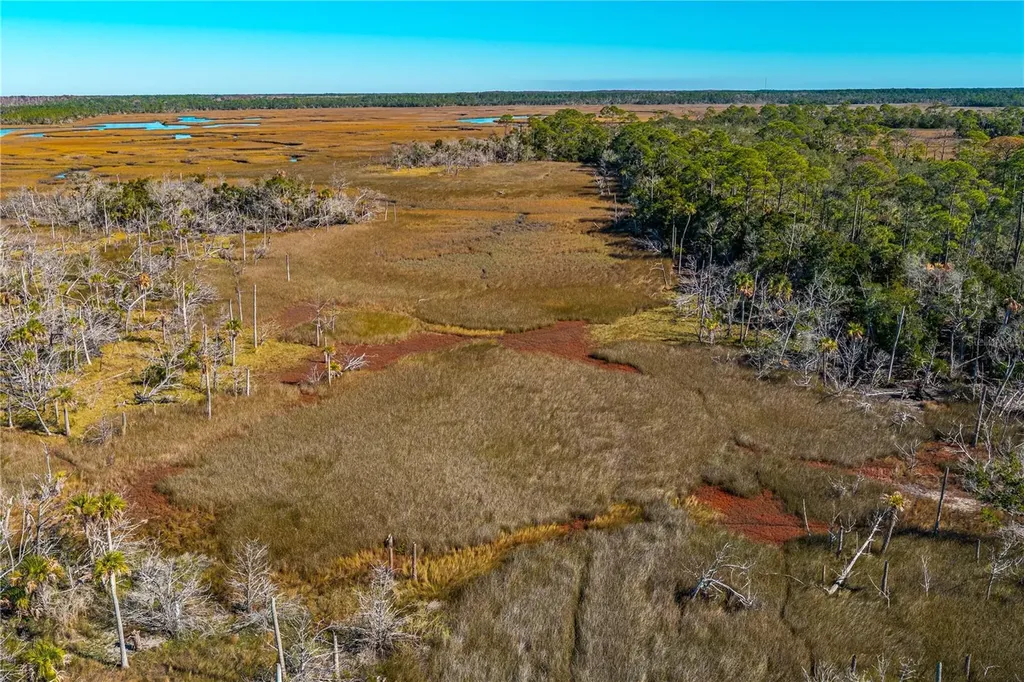 Clark Island Cedar Key FL 32625