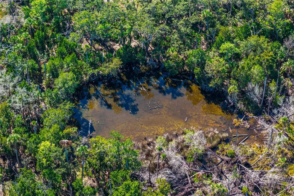 Clark Island Cedar Key FL 32625