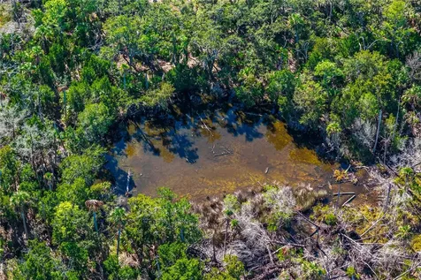 Clark Island Cedar Key FL 32625