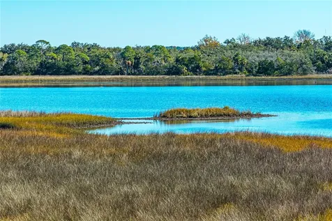 Clark Island Cedar Key FL 32625