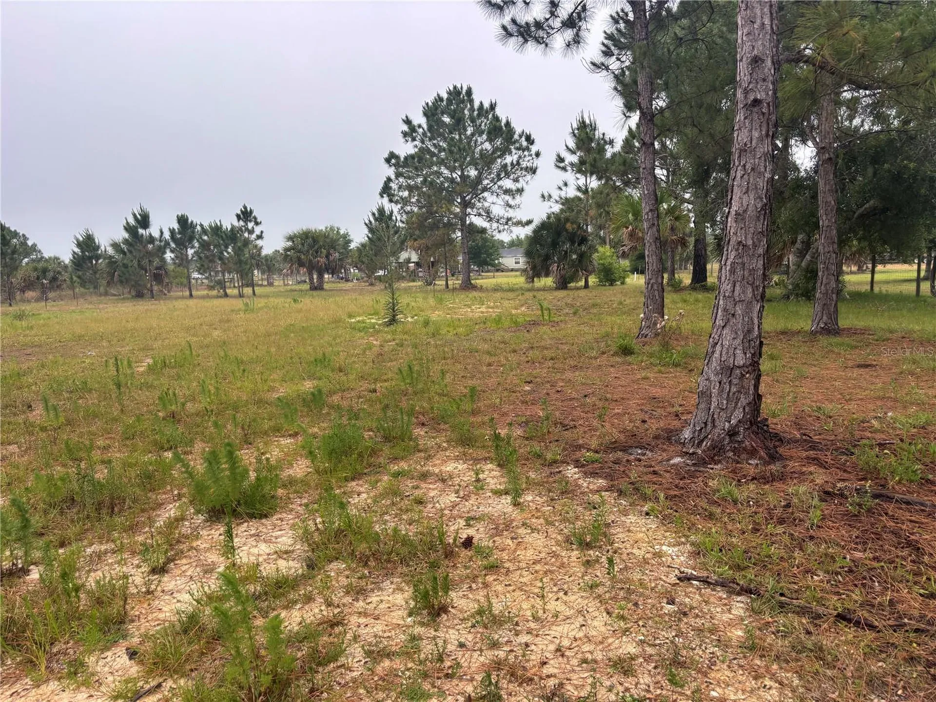 19788 284th Street NW Okeechobee FL 34972