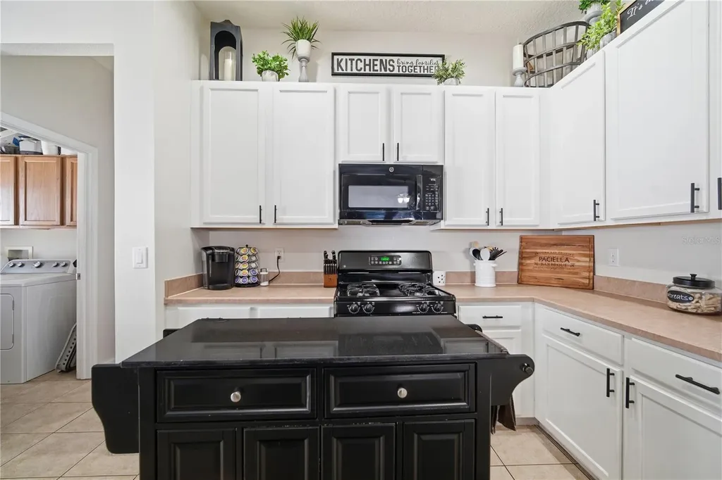 6325 Bridgecrest Drive Lithia FL 33547
