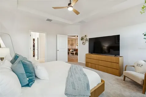 9882 Shoreline View Way Wesley Chapel FL 33545