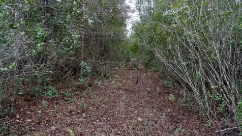 4405 State Road 206 W Elkton FL 32033