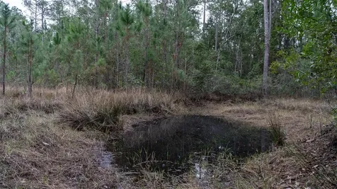 4405 State Road 206 W Elkton FL 32033
