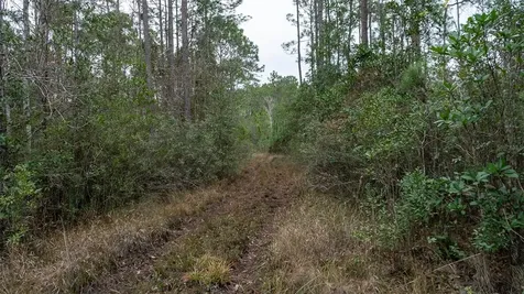 4405 State Road 206 W Elkton FL 32033