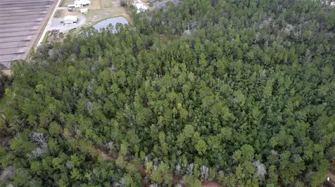 4405 State Road 206 W Elkton FL 32033