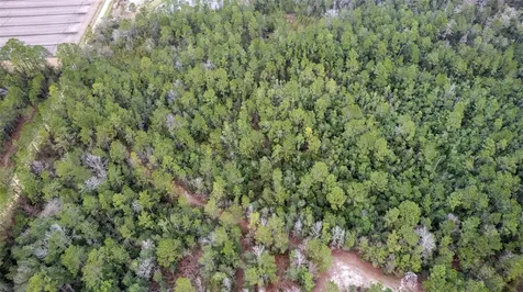 4405 State Road 206 W Elkton FL 32033