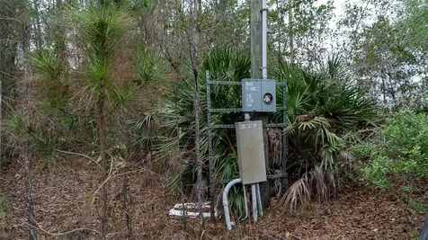 4405 State Road 206 W Elkton FL 32033