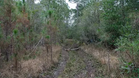 4405 State Road 206 W Elkton FL 32033