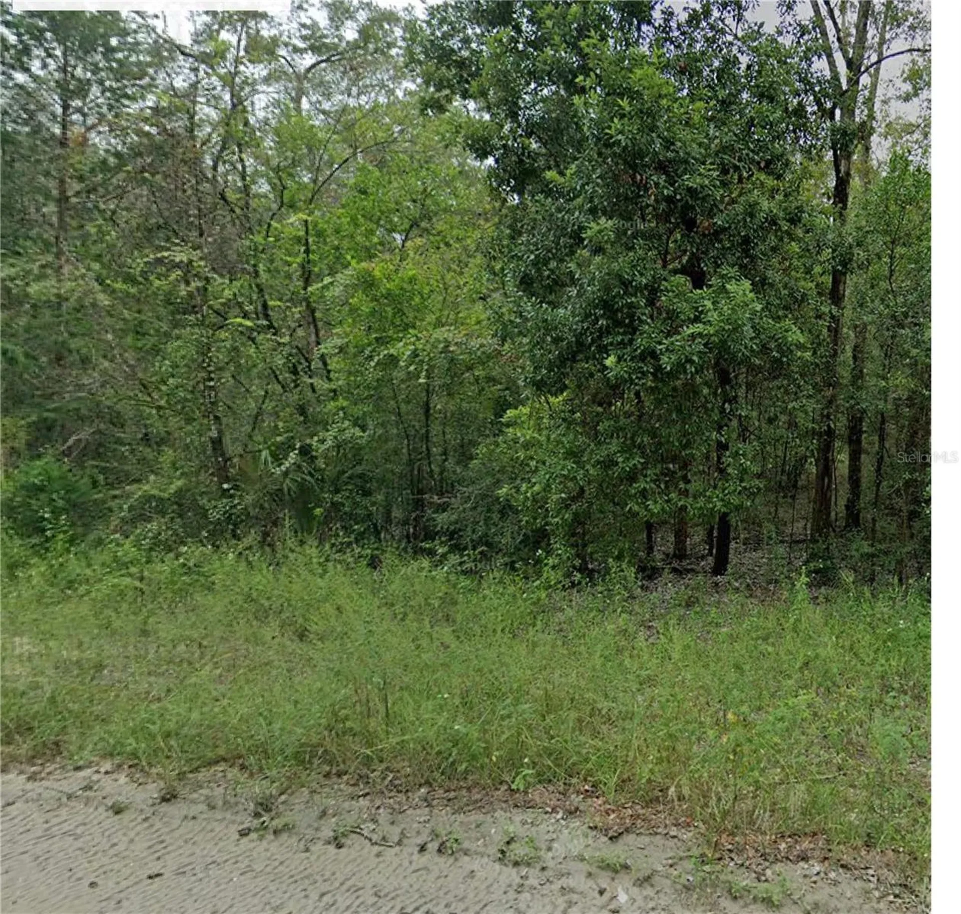 0 NE 160th Avenue Williston FL 32696