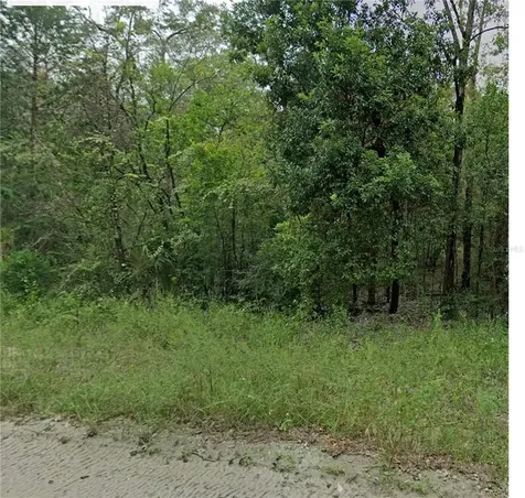 0 NE 160th Avenue Williston FL 32696