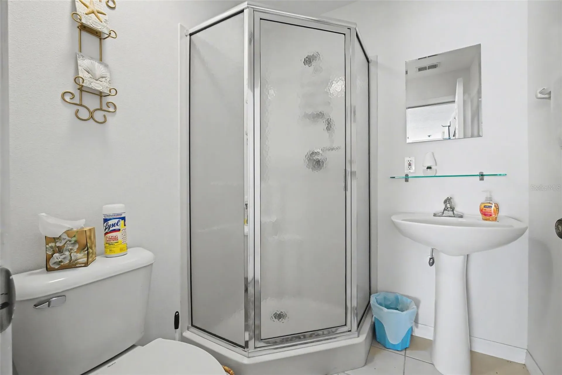 8459 SW 60th Court Ocala FL 34476