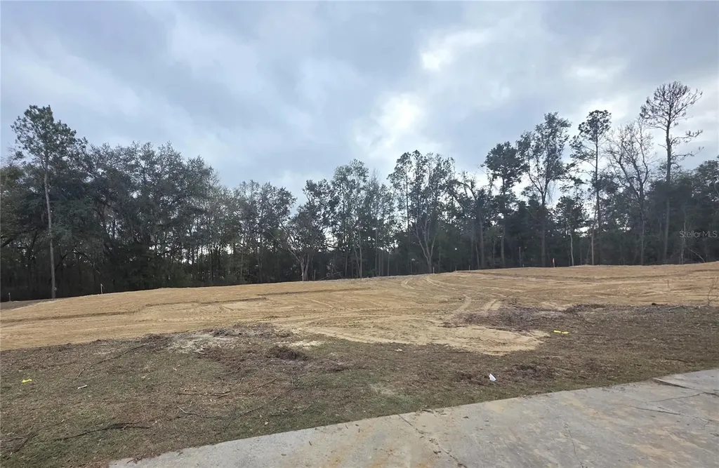 525 SW Bellflower Drive Lake City FL 32024