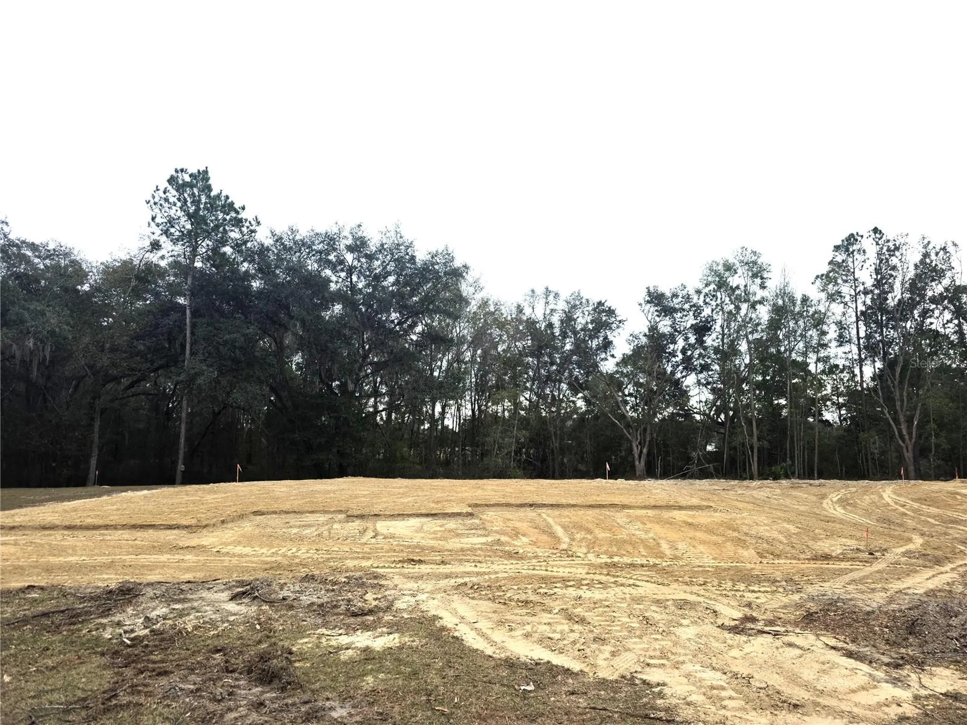 525 SW Bellflower Drive Lake City FL 32024