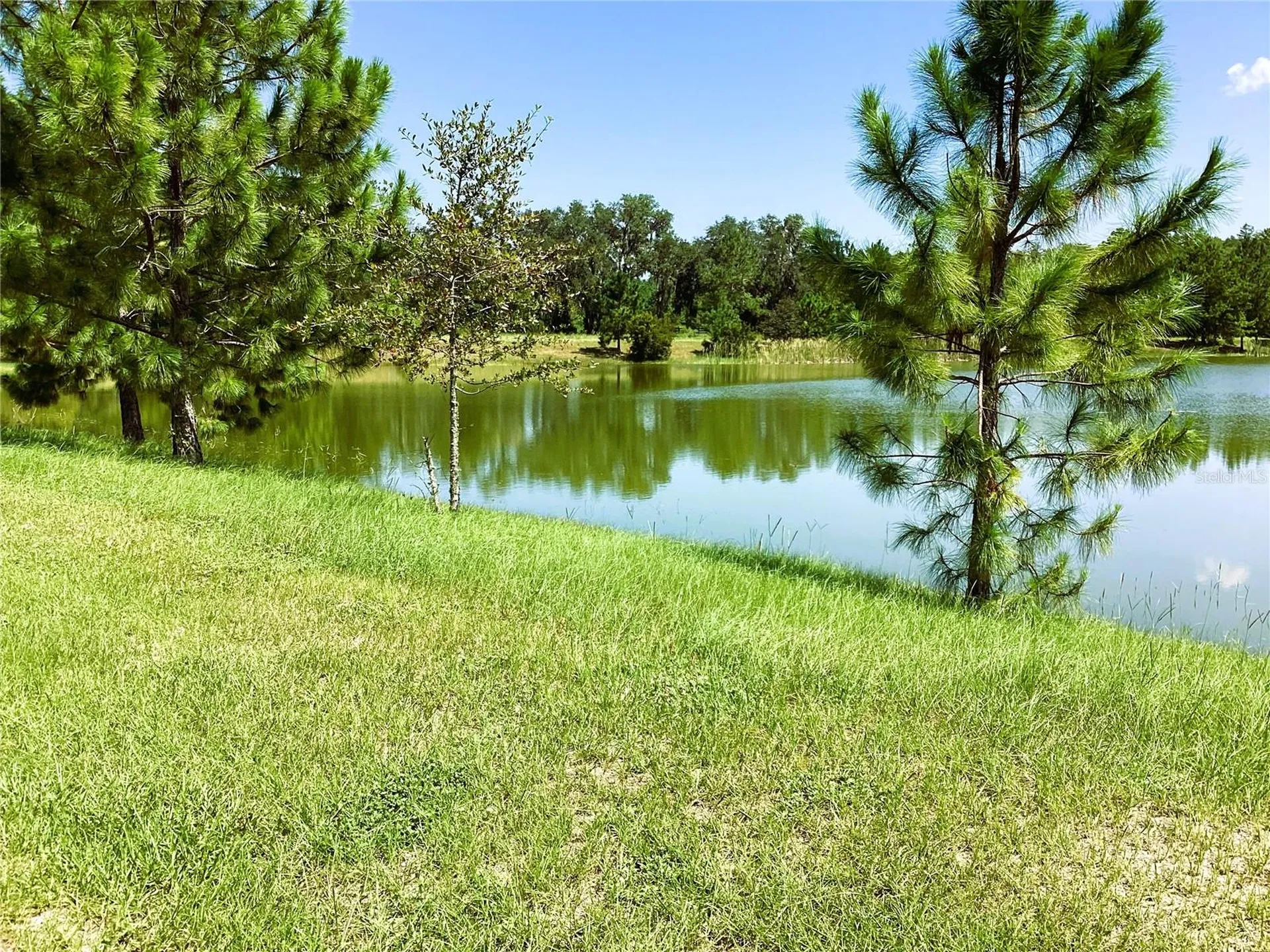 525 SW Bellflower Drive Lake City FL 32024