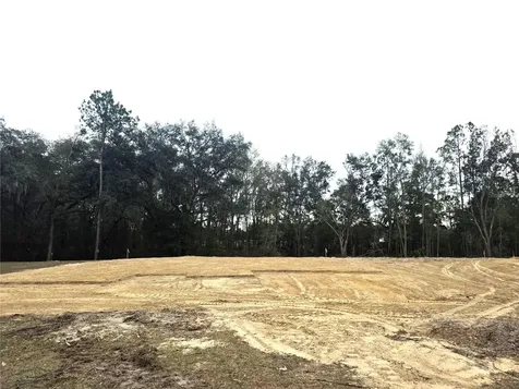 525 SW Bellflower Drive Lake City FL 32024