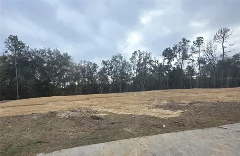 525 SW Bellflower Drive Lake City FL 32024