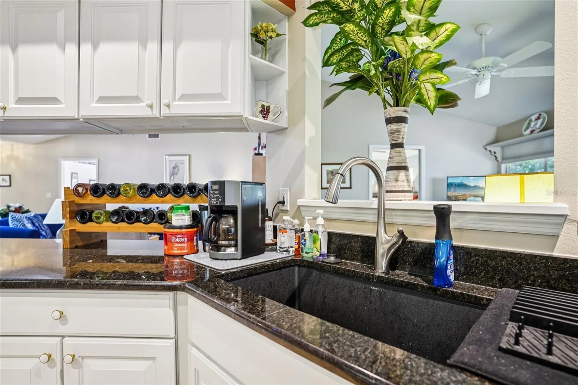 305 Juniper Way Tavares FL 32778