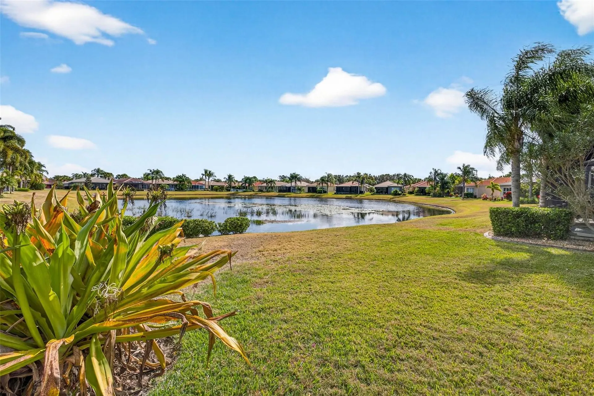 15709 Crystal Waters Drive Wimauma FL 33598
