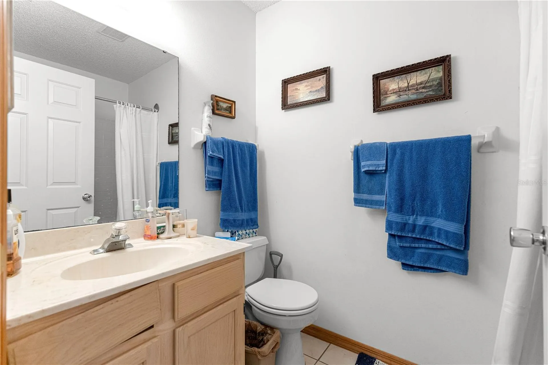 9651 SW 85th Terrace Ocala FL 34481