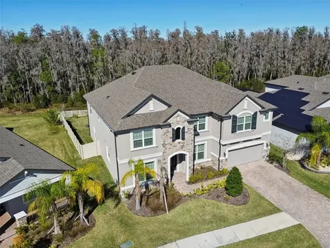 19328 Eagle Creek Lane Tampa FL 33647