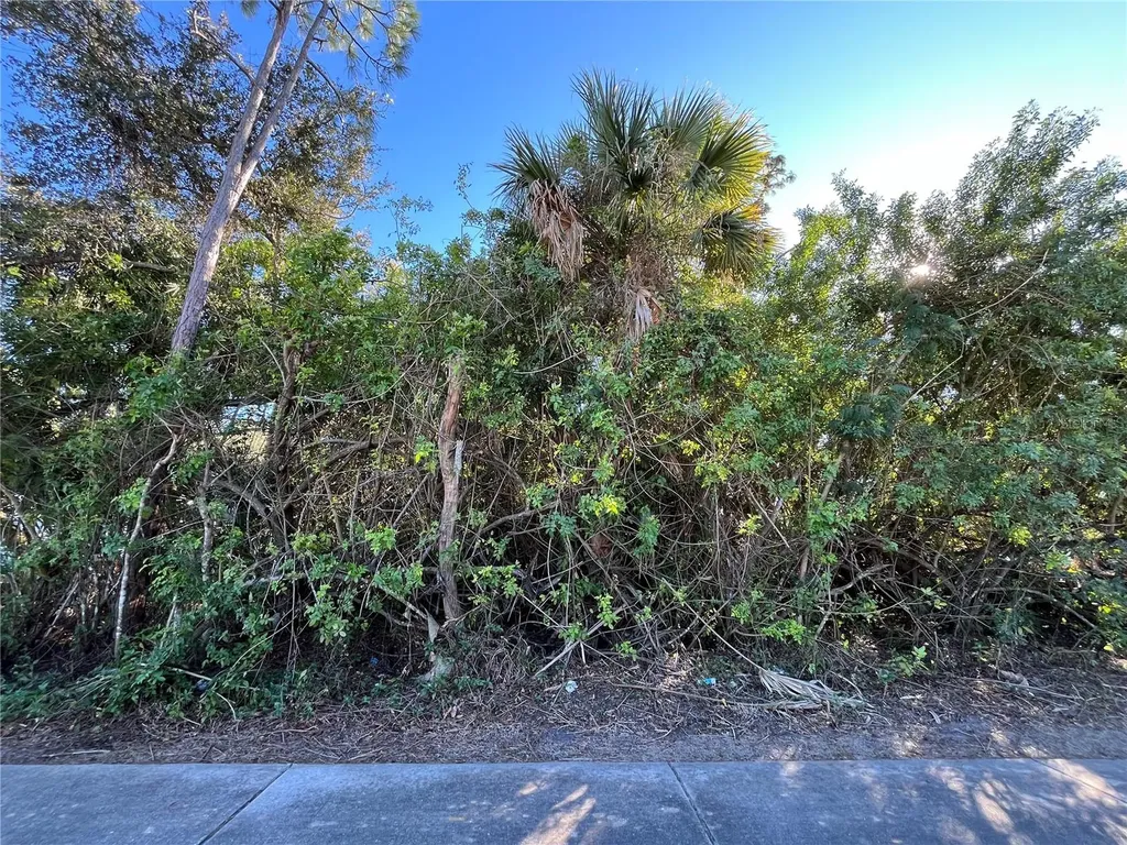 20417 Quesada Avenue Port Charlotte FL 33952