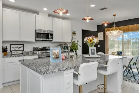 11495 June Briar Loop San Antonio FL 33576