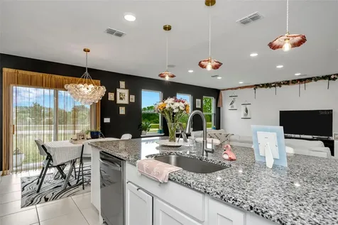 11495 June Briar Loop San Antonio FL 33576