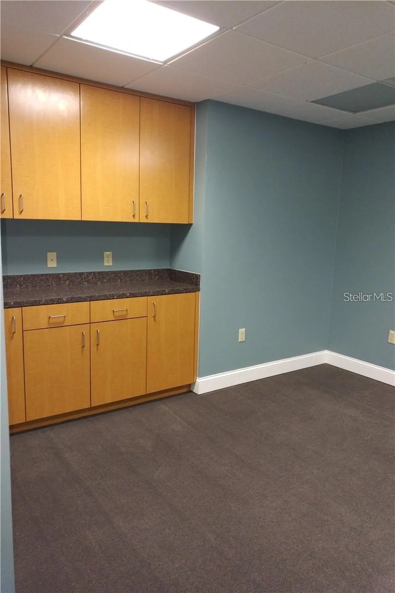 603 S Boulevard Tampa FL 33606