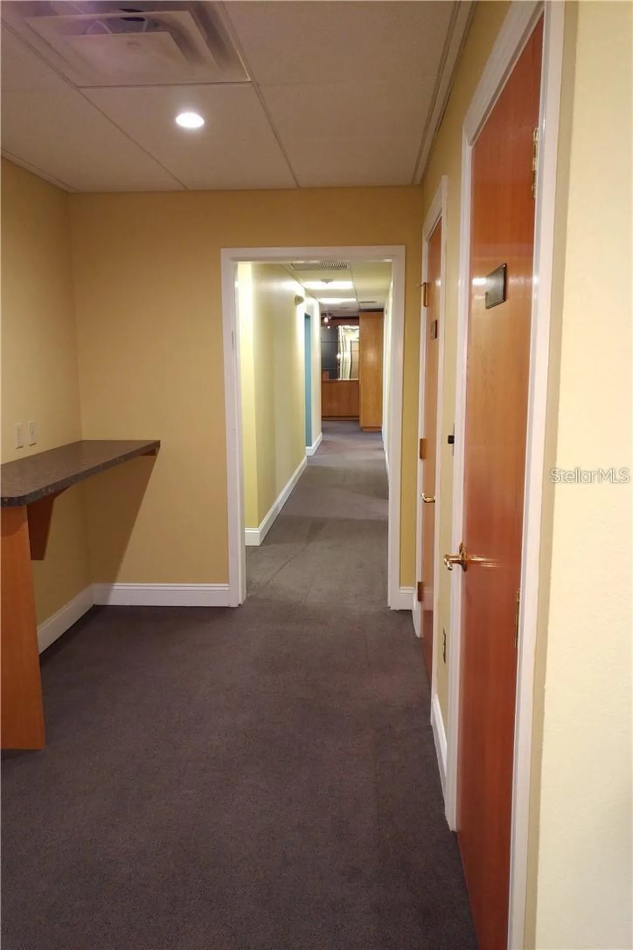 603 S Boulevard Tampa FL 33606